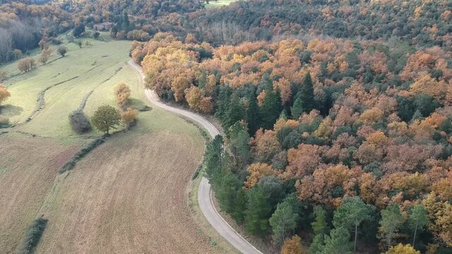 Vistas a&eacute;reas de los acantilados de Tavertet en oto&ntilde;o con los &aacute;rboles de color amarillo y rojo
