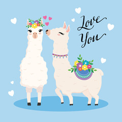 cute two alpacas exotic animals with flowers and lettering vector illustration design