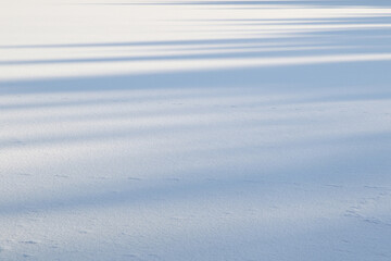 white sunny snow background with blue shadows - 405887505
