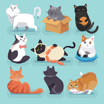 Set of 9 beautiful colored trendy cartoon cats. Different breeds. They are playing, having rest, interested in something. Isolated on a blue background, vector illustration.