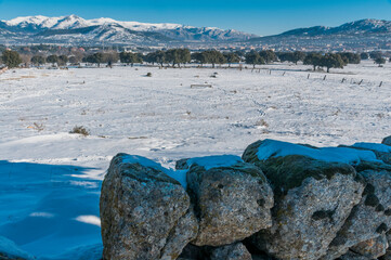 Snowy landscape after the storm Filomena, Galapagar, Madrid, Spain.