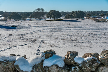 Snowy landscape after the storm Filomena, Galapagar, Madrid, Spain.