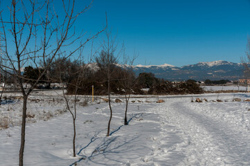 Snowy landscape after the storm Filomena, Galapagar, Madrid, Spain.