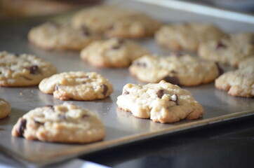 Close up of chocolate chip cookies