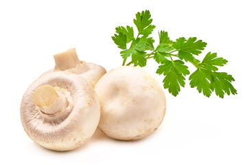 Champignons, close-up, isolated on white background