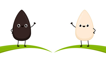 Black and white sesame seed character. Sesame seed on white background.