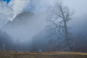 Fototapeta na wymiar mountain ridge in a dense mist, good natural travel background