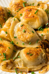 Homemade Polish Potato Pierogies