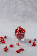 Medicinal plants and herbs. Rose hips berries on concrete background in a glass cup with copy space. Dried fruits for herbal teas and essential oils. Selective focus. Vertical orientation.