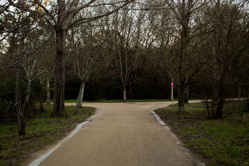 caminos de la naturaleza