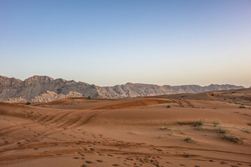 Desert dunes near Dubai at sunset light. Dubai, United Arab Emirates, Middle East.