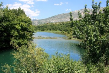 Fototapeta na wymiar view on the Zrmanja river near Muskovici, Obrovac, Croatia