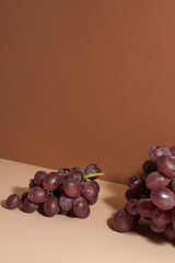 Brunch of red grapes on beige background with shadow on the wall. Winery concept.