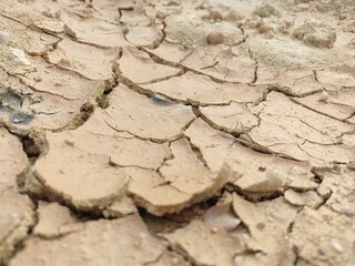 dry cracked earth