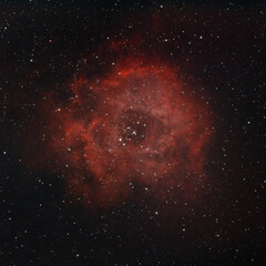 Rosette Nebula