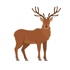 Cartoon deer on a white background. Flat cartoon illustration for kids.
