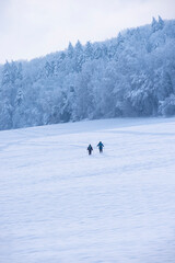 Schneeschuhwanderer in einer verschneiten Landschaft in der Abenddämmerung fotografiert