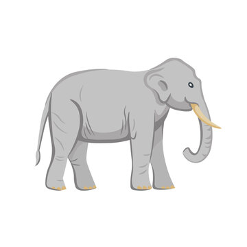 Cartoon elephant on a white background.Flat cartoon illustration for kids.