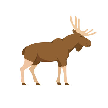 Cartoon elk on a white background. Flat cartoon illustration for kids.
