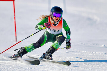 skier racing on the giant slalom course