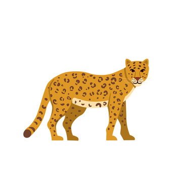 Cartoon leopard on a white background.Flat cartoon illustration for kids.
