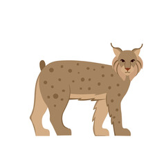 Cartoon lynx on a white background.Flat cartoon illustration for kids.