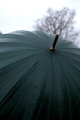 Dark green umbrella in rainy autumn or winter day with detail of the drops