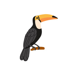Obraz premium Cartoon toucan on a white background.Flat cartoon illustration for kids.
