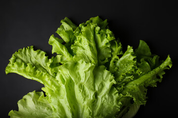 Lettuce leaves on black background