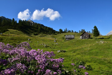 Fototapeta na wymiar Alp in the dead mountains, austria