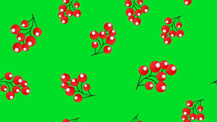 Seamless Pattern Holly, Ilex Branch With Berry And Leaves On White Background. Design Holiday