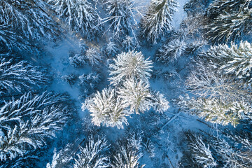 Background texture of a frozen forest at winter, aerial shot. Mountain, over.