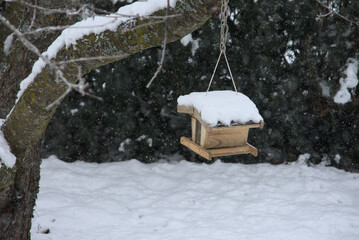 birdhouse with no bird covered with snow in winter