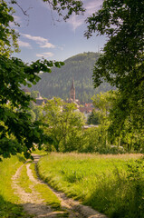 Meadow landscape with small town in south Germany