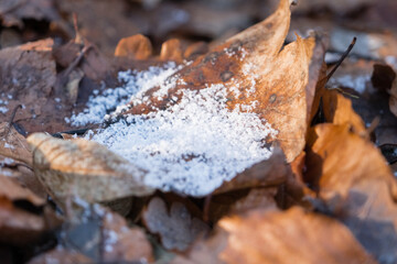 Graupel auf Laubblatt