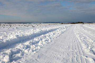 Fototapeta na wymiar Winter landscape with snowy fields and blue sky