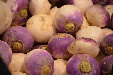 Brassica rapa subsp. rapa