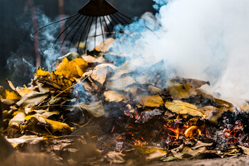 Burning. Autumn bonfire with smoke. Yellow leaves in the smoke.