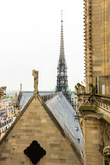 Fototapeta na wymiar Notre Dame de Paris Cathedral in Paris.