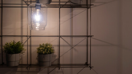 Fototapeta na wymiar Light bulb on shelving with plants with copy space for inspiration or idea under light bulb. Image foe conceptual design.