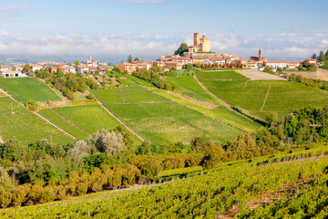 Fototapeta na wymiar View of the village of Serralunga d`Alba and the wonderful Langa, italy