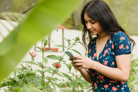 Young hispanic woman traveling taking photos - young traveler taking photos with her phone of nature in conservation centers - forest dome - female traveler inside a garden observing nature