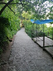camino