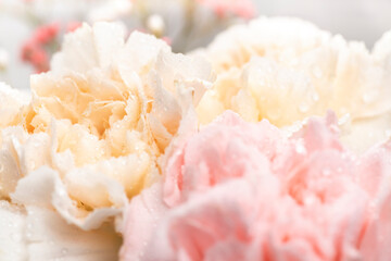 Still life of flowers on white background