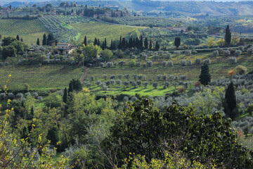 Fototapeta na wymiar hilly landscape, Umbria, Italy, Europe