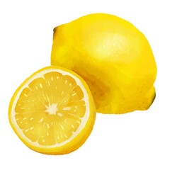 レモン　水彩イラスト