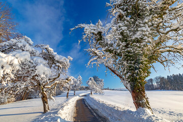 Tief verschneiter Winterweg in der Nähe vom Bodensee