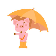 
pig with umbrella on the white background