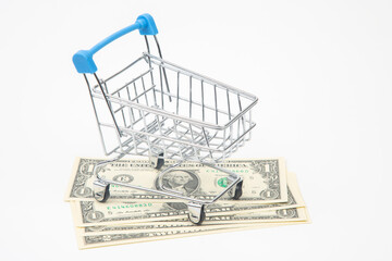 dollars in a supermarket basket. buying food and goods. business for sale. saving purchases