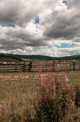 Beautiful landscape with cloudy sky, village and man